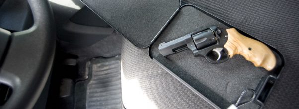 portable gun safe for cars