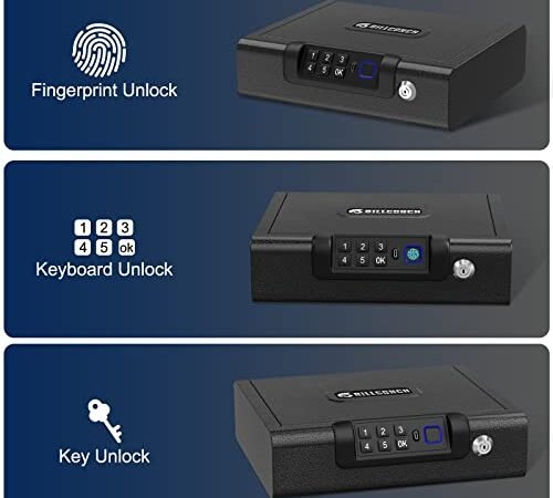 Best Biometric Gun Safes Drawers Under $200