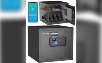 Best Gun Safe for the Money