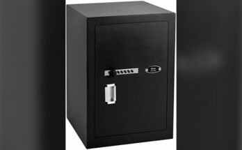 Best Pry Resistant Gun Safe