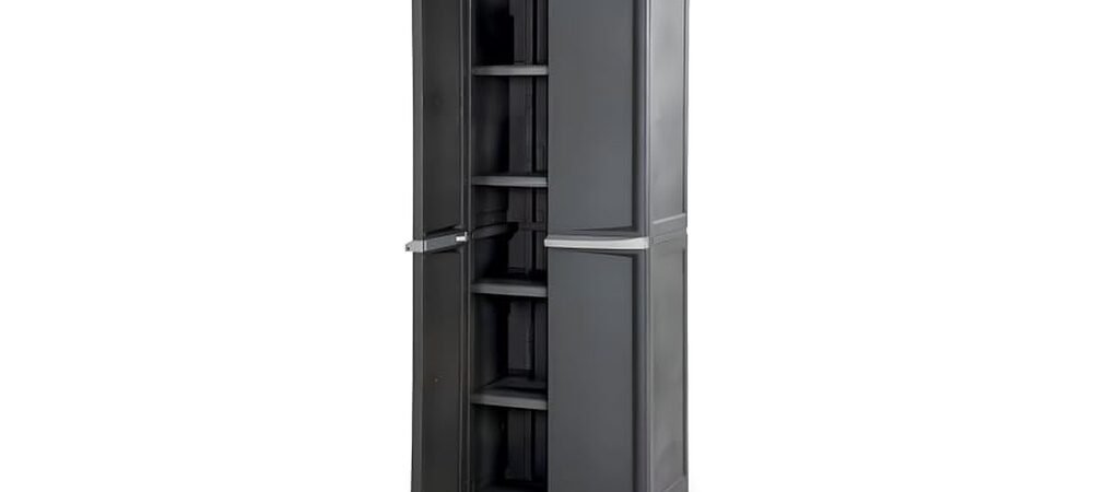 Best Storage Cabinet With Shelves